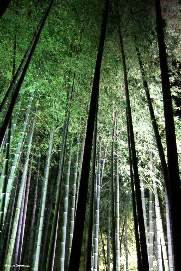 Kyoto Home Higashikujo 外观 照片
