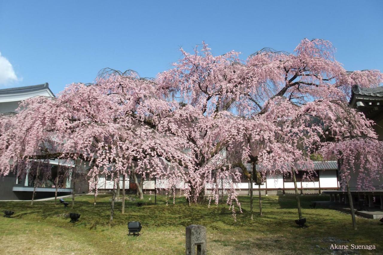 Kyoto Home Higashikujo 外观 照片